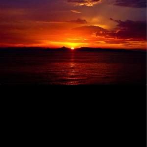 Meet your Posher, Dan